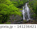千尋滝(奈良県吉野郡上北山村) 千尋滝(奈良県吉野郡上北山村) 141236421