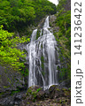千尋滝(奈良県吉野郡上北山村) 千尋滝(奈良県吉野郡上北山村) 141236422