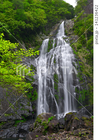 千尋滝(奈良県吉野郡上北山村) 千尋滝(奈良県吉野郡上北山村) 141236422