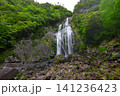 千尋滝(奈良県吉野郡上北山村) 千尋滝(奈良県吉野郡上北山村) 141236423