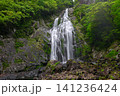 千尋滝(奈良県吉野郡上北山村) 千尋滝(奈良県吉野郡上北山村) 141236424