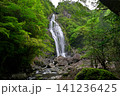 千尋滝(奈良県吉野郡上北山村) 千尋滝(奈良県吉野郡上北山村) 141236425