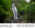 千尋滝(奈良県吉野郡上北山村) 千尋滝(奈良県吉野郡上北山村) 141236426