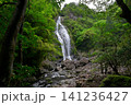 千尋滝(奈良県吉野郡上北山村) 千尋滝(奈良県吉野郡上北山村) 141236427