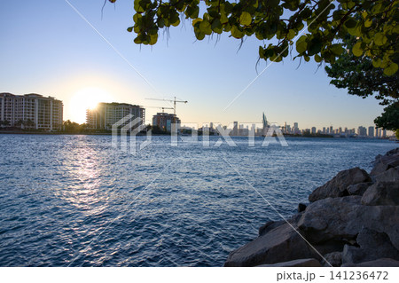 Sunrise Over Waterfront Condominiums and City Skyline Framed by Palm Leaves 141236472