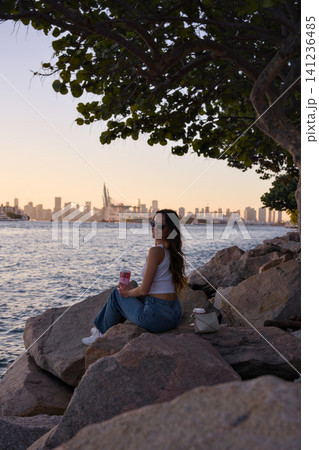 Woman Sitting Under Tree Branches by the Waterfront Skyline Woman Sitting Under Tree Branches by the Waterfront Skyline 141236485