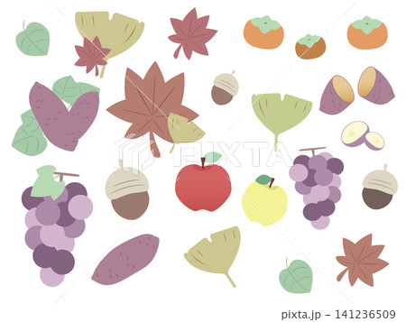 秋のイラスト素材セット｜紅葉と秋の味覚 141236509