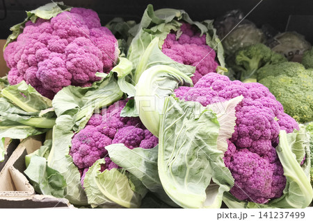 Fresh purple cauliflower heads are displayed at a local market. A vibrant organic vegetable with green leaves, rich natural color, and a healthy eating concept for farm produce and cooking. Fresh purple cauliflower heads are displayed at a local market. A vibrant organic vegetable with green leaves, rich natural color, and a healthy eating concept for farm produce and cooking. 141237499