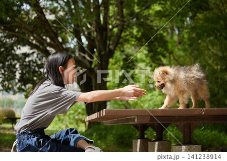春の公園で可愛いポメラニアンの子犬を抱っこして散歩する私服の十代の女の子の姿 春の公園で可愛いポメラニアンの子犬を抱っこして散歩する私服の十代の女の子の姿 141238914
