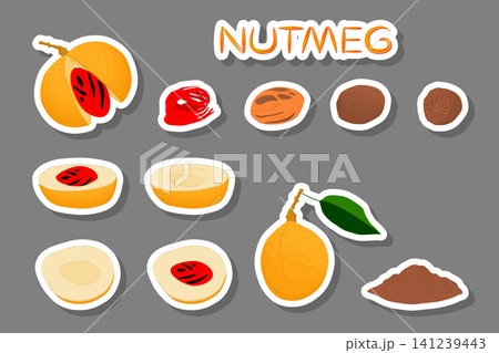 Sweet juicy tasty natural eco product nut 141239443