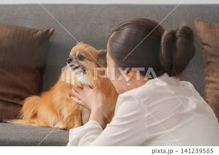 Asian woman petting her chihuahua dog on sofa at home Asian woman petting her chihuahua dog on sofa at home 141239585