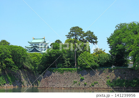 愛知県名古屋市、新緑と名古屋城の風景 愛知県名古屋市、新緑と名古屋城の風景 141239956