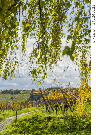 Hunawihr vineyard in autumn with church steeple Hunawihr vineyard in autumn with church steeple 141240123