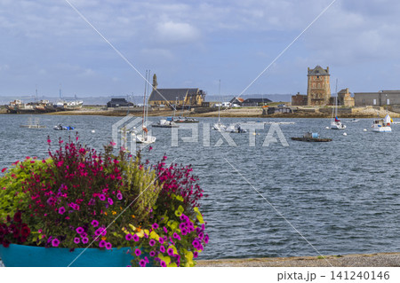 Camaret sur Mer harbor activity with Tour Vauban and church 141240146