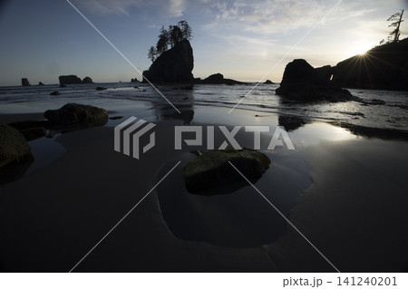 Sunset Sea Stack Beach with Driftwood and Reflections Sunset Sea Stack Beach with Driftwood and Reflections 141240201