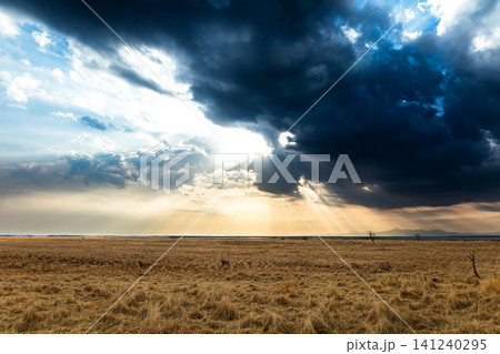北海道別海町野付半島から見た雲の隙間から光芒が差し込む風景 北海道別海町野付半島から見た雲の隙間から光芒が差し込む風景 141240295