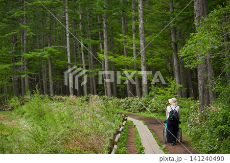 初夏の観光名所上高地の新緑の森の風景と観光客の姿 初夏の観光名所上高地の新緑の森の風景と観光客の姿 141240490