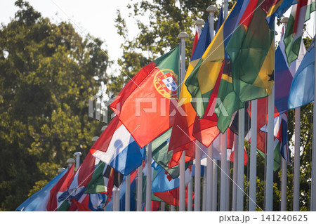 Flags from different countries wave in the wind at an outdoor event during daytime Flags from different countries wave in the wind at an outdoor event during daytime 141240625