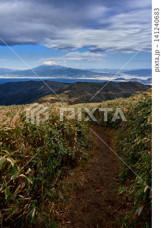 伊豆半島の伊豆山稜線歩道 達磨山の笹原の縦走路より望む富士山 伊豆半島の伊豆山稜線歩道 達磨山の笹原の縦走路より望む富士山 141240683