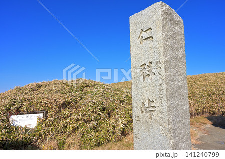 伊豆半島の伊豆山稜線歩道 静岡県道59号伊東西伊豆線 仁科峠 伊豆半島の伊豆山稜線歩道 静岡県道59号伊東西伊豆線 仁科峠 141240799