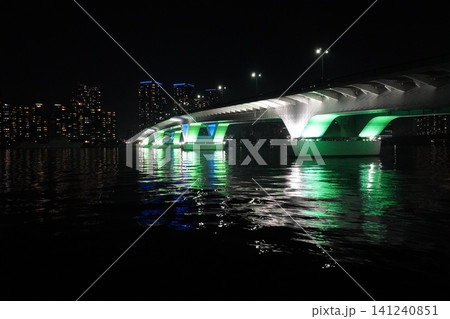 豊洲ぐるり公園から望むライトアップされた豊洲大橋の夜景(横位置・コピースペース) 豊洲ぐるり公園から望むライトアップされた豊洲大橋の夜景(横位置・コピースペース) 141240851