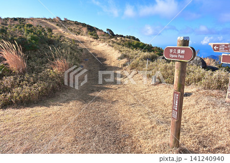 伊豆半島の伊豆山稜線歩道 宇久須峠の峠道 伊豆半島の伊豆山稜線歩道 宇久須峠の峠道 141240940