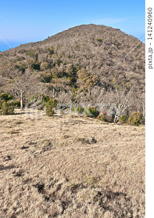 伊豆半島 伊豆山稜線歩道 鞍部の草地より望むミソウ台 伊豆半島 伊豆山稜線歩道 鞍部の草地より望むミソウ台 141240960