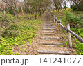 伊豆半島の伊豆山稜線歩道 魂ノ山へ登る森の中の階段の山道 伊豆半島の伊豆山稜線歩道 魂ノ山へ登る森の中の階段の山道 141241077