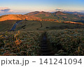 伊豆半島の仁科峠展望台 朝日さす伊豆山稜線歩道と富士山 伊豆半島の仁科峠展望台 朝日さす伊豆山稜線歩道と富士山 141241094