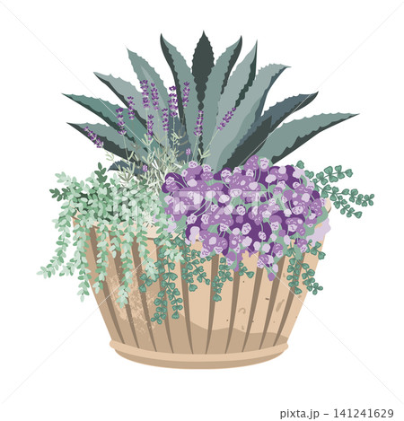 Elegant potted flowers composition with lavender flowers, blue agave plant, and grass. Floral arrangement in a big ceramic planter. 141241629