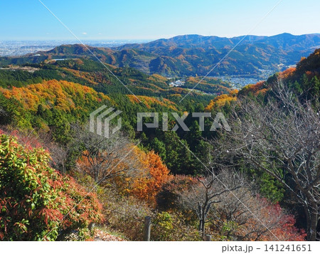 秋の藤岡市・桜山公園からの展望 秋の藤岡市・桜山公園からの展望 141241651