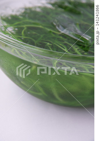 冷水にとって色だし中の茹でたおかひじき 141241866