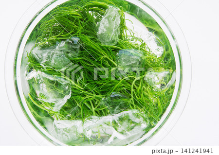 冷水にとって色だし中の茹でたおかひじき 冷水にとって色だし中の茹でたおかひじき 141241941