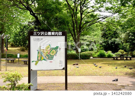 横浜市神奈川区 三ツ沢公園園路と新緑と三ツ沢公園案内図 横浜市神奈川区 三ツ沢公園園路と新緑と三ツ沢公園案内図 141242080