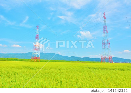 夏の青空と送電線の田園風景 夏の青空と送電線の田園風景 141242332