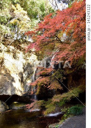茨城県大子町 月待ちの滝(裏見の滝)と紅葉 茨城県大子町 月待ちの滝(裏見の滝)と紅葉 141243122