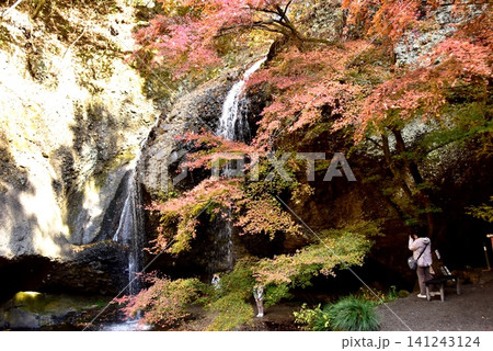 茨城県大子町　月待ちの滝（裏見の滝）と紅葉 141243124