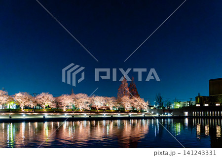 富山県富山市 富岩運河環水公園の夜景と水面に映る橋のライトアップ 141243331