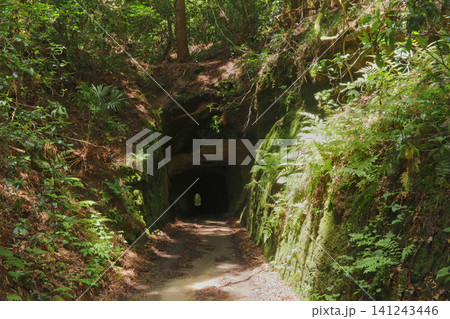 森の中の手彫りトンネル(宮城県東松島市・大鮫隧道) 森の中の手彫りトンネル(宮城県東松島市・大鮫隧道) 141243446