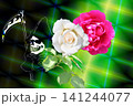 赤いバラの花 赤いバラの花 141244077
