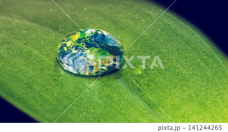Water, drop and leaf with earth for sustainability and awareness of climate change, nature and environment. Globe, plant and droplet on blade of grass for eco friendly, future and clean energy Water, drop and leaf with earth for sustainability and awareness of climate change, nature and environment. Globe, plant and droplet on blade of grass for eco friendly, future and clean energy 141244265