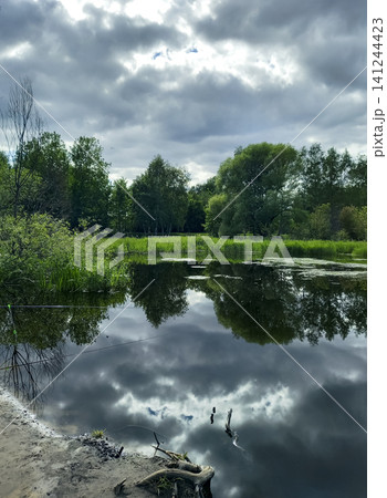 Pond with reflections of trees and a cloudy sky in a forest, illustrating seasonal outdoor wellness and nature based restoration. 141244423