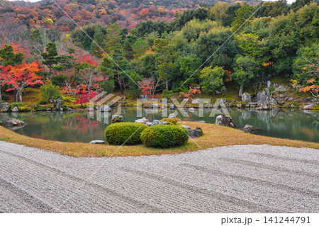 京都 天龍寺 秋の曹源池庭園( 京都府京都市右京区) 京都 天龍寺 秋の曹源池庭園( 京都府京都市右京区) 141244791