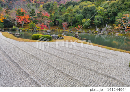 京都 天龍寺 秋の曹源池庭園( 京都府京都市右京区) 京都 天龍寺 秋の曹源池庭園( 京都府京都市右京区) 141244964