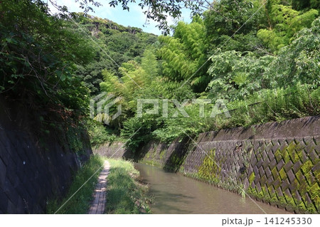 前田川遊歩道にて(神奈川県横須賀市) 前田川遊歩道にて(神奈川県横須賀市) 141245330