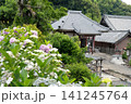あじさいの向こうの御堂と神馬 141245764