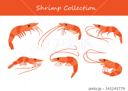 shrimp collection. shrimp in different poses shrimp collection. shrimp in different poses 141245779