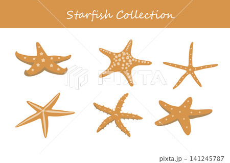 starfish collection. starfish in different poses starfish collection. starfish in different poses 141245787