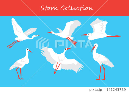 stork collection. stork in different poses stork collection. stork in different poses 141245789