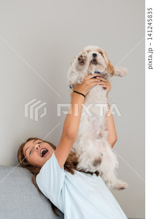 Playful teenage girl lifting her small dog up in the air on sofa Playful teenage girl lifting her small dog up in the air on sofa 141245835